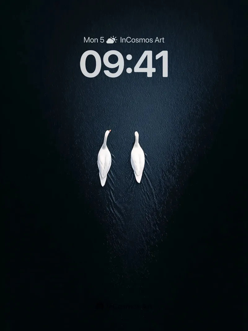 Serenity Swans Wallpaper with Midnight Water