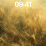 Golden Hush Wallpaper with Whispering Grass wallpaper for iPhone, iPad & Mac
