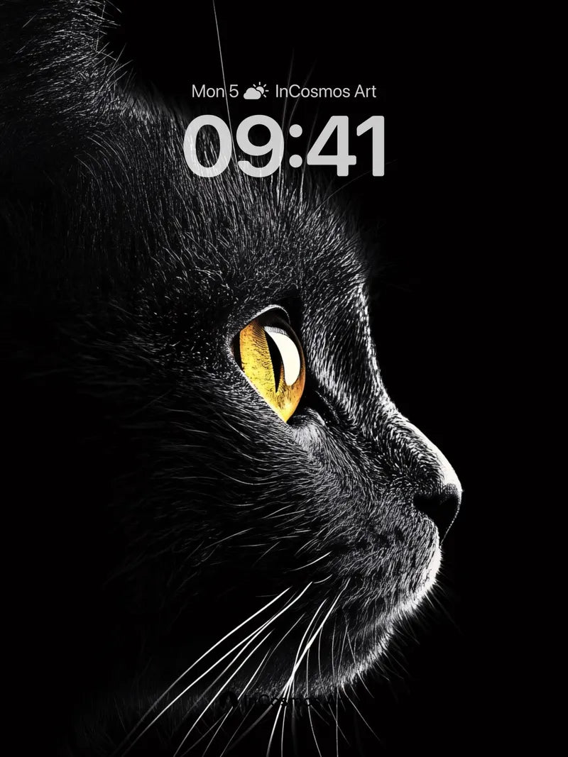 Shadowed Gaze Wallpaper with Golden Eyes