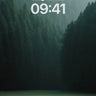Solitary Path Wallpaper with Forest Hush wallpaper for iPhone, iPad & Mac
