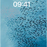 Serene School of Fish Ocean Background wallpaper for iPhone, iPad & Mac