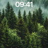 Mist-Weaved Pine Wallpaper with Whispering Canopy wallpaper for iPhone, iPad & Mac