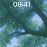 Misty Canopy Skyline Wallpaper Background