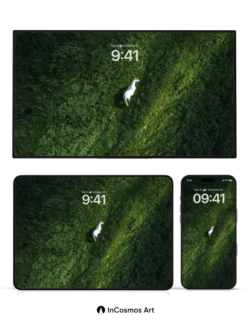 Silent Meadow Wallpaper with Lone White Horse