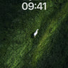 Silent Meadow Wallpaper with Lone White Horse wallpaper for iPhone, iPad & Mac