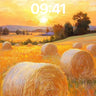 Golden Hush Wallpaper with Sunlit Hayrolls wallpaper for iPhone, iPad & Mac