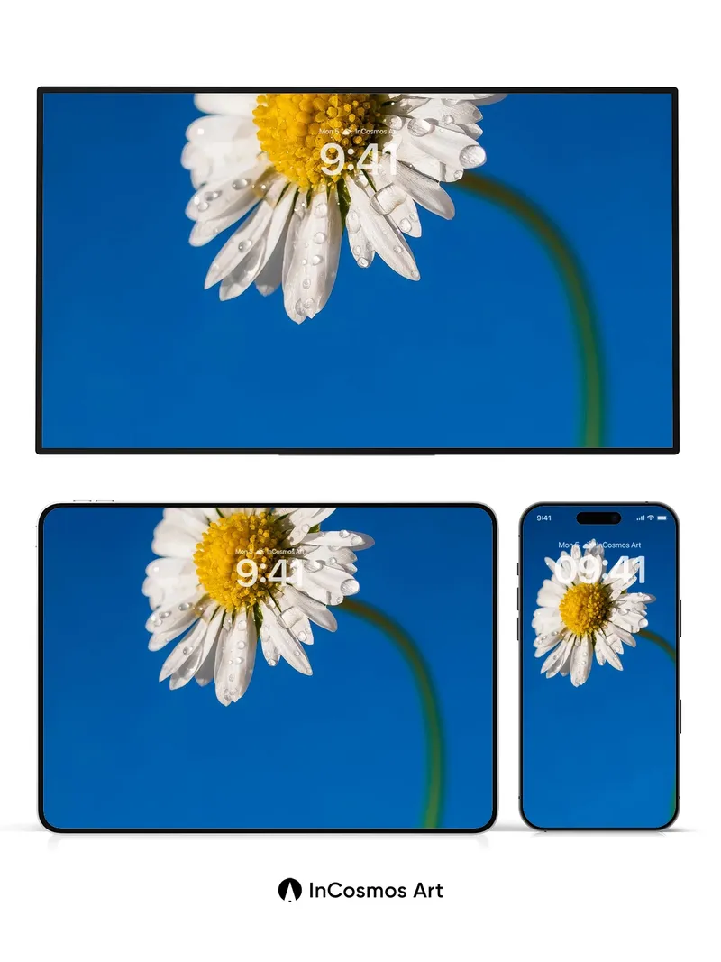 Serenity Dewdrop Wallpaper with Skyward Stem