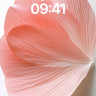 Soft Petal Hush Wallpaper with Veined Light wallpaper for iPhone, iPad & Mac
