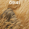 Golden Hush Wallpaper with Whispering Wheat wallpaper for iPhone, iPad & Mac