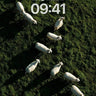 Serenity Herd Wallpaper with Dappled Light wallpaper for iPhone, iPad & Mac