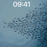 Oceanic Flow Background wallpaper for iPhone, iPad & Mac