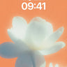 Serene Bloom Wallpaper with Soft Light Haze wallpaper for iPhone, iPad & Mac