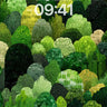 Emerald Thicket Wallpaper with Textured Canopy wallpaper for iPhone, iPad & Mac