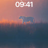 Silent Horizon Wallpaper with Tiger Reflection wallpaper for iPhone, iPad & Mac