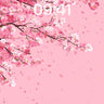Serene Cherry Bloom Wallpaper with Floating Petals wallpaper for iPhone, iPad & Mac