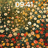 Wild Bloom Wallpaper with Dappled Light wallpaper for iPhone, iPad & Mac