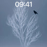 Silent Watch Wallpaper with Frost-etched Branches wallpaper for iPhone, iPad & Mac