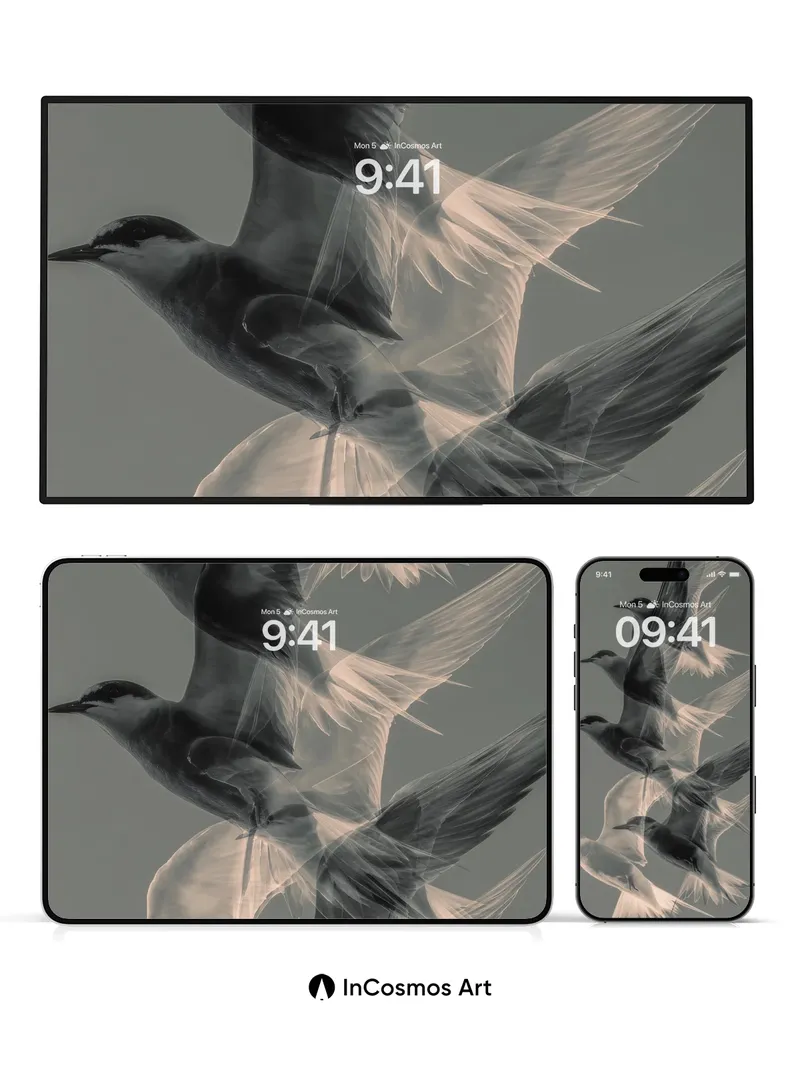 Serenity in Flight Wallpaper with Ethereal Motion