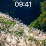 Serenity of Silver Grass Wallpaper with Mountain Hush wallpaper for iPhone, iPad & Mac