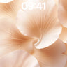 Serenity Petal Wallpaper with Soft Light Veins wallpaper for iPhone, iPad & Mac