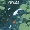 Koi Pond Serenity Wallpaper wallpaper for iPhone, iPad & Mac