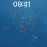 Spiral Fish School Ocean Background wallpaper for iPhone, iPad & Mac