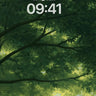 Canopy Whisper Anime Forest Background