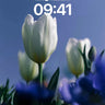 Serenity Bloom Wallpaper with Celestial Depth wallpaper for iPhone, iPad & Mac