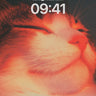 Serene Ember Wallpaper with Feline Glow wallpaper for iPhone, iPad & Mac