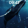 Deep Serenity Whale Wallpaper with Oceanic Breath wallpaper for iPhone, iPad & Mac