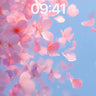 Soft Pink Petal Drift Wallpaper in Sky Blue wallpaper for iPhone, iPad & Mac
