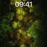 Luminous Moss Wallpaper with Forest Pulse wallpaper for iPhone, iPad & Mac