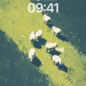 Serenity Meadow Wallpaper with Flock of Sheep wallpaper for iPhone, iPad & Mac