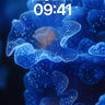 Luminous Bloom Wallpaper with Starlight Veins wallpaper for iPhone, iPad & Mac