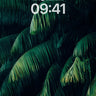 Shadowed Palm Canopy Wallpaper with Emerald Depth wallpaper for iPhone, iPad & Mac