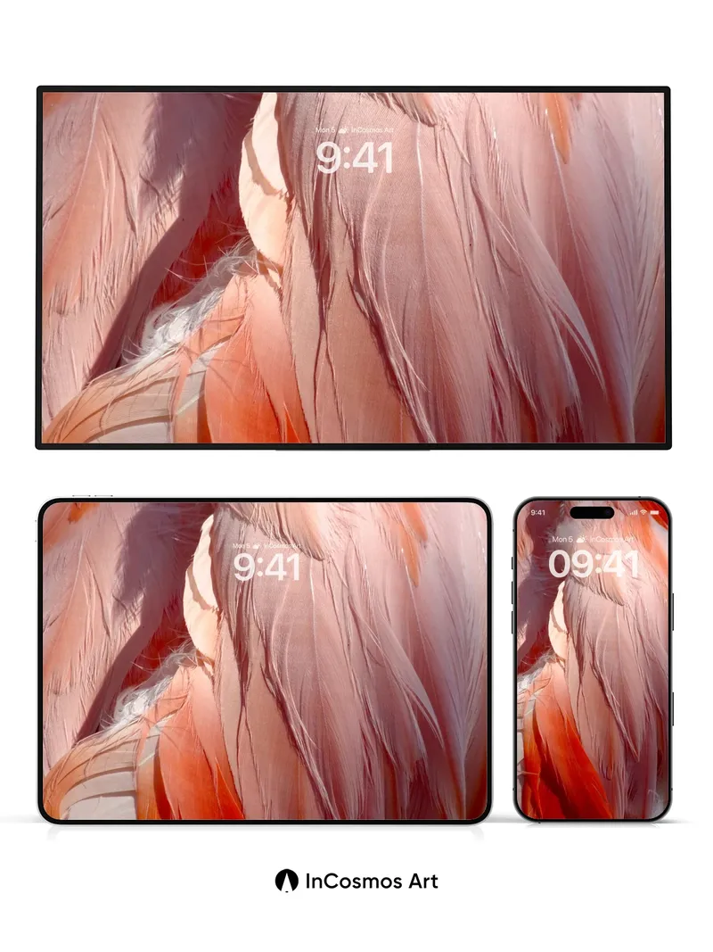 Crimson Feather Hush Wallpaper with Sunlit Veils