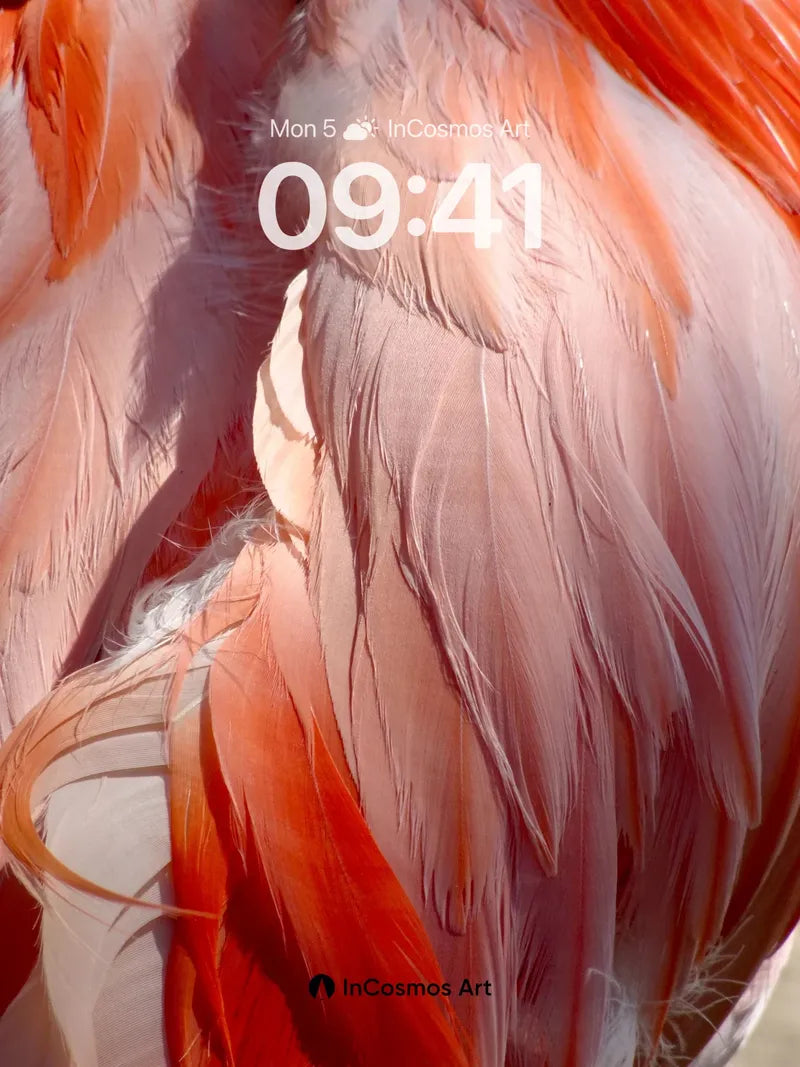 Crimson Feather Hush Wallpaper with Sunlit Veils