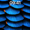 Electric Feather Wallpaper with Hidden Firelight wallpaper for iPhone, iPad & Mac