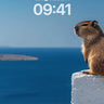 Serenity Watch Wallpaper with Coastal Gaze wallpaper for iPhone, iPad & Mac