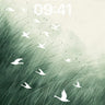 Mist Flight Wallpaper in Soft Green Haze wallpaper for iPhone, iPad & Mac