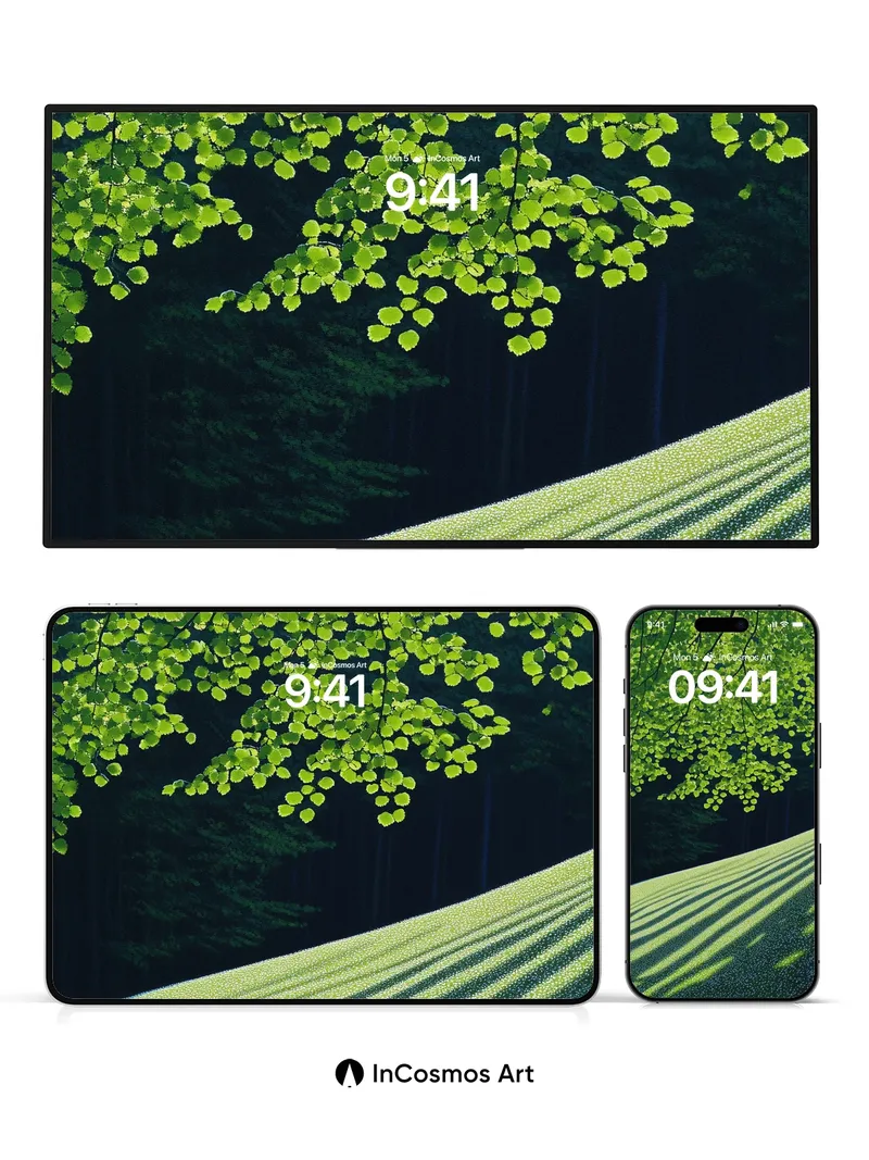 Serenity in Canopy Wallpaper with Dappled Light
