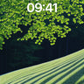 Serenity in Canopy Wallpaper with Dappled Light wallpaper for iPhone, iPad & Mac