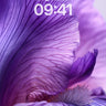 Velvet Iris Wallpaper with Veined Depths wallpaper for iPhone, iPad & Mac