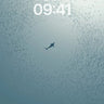 Serene Blue Depths Wallpaper with Whirling Fish wallpaper for iPhone, iPad & Mac