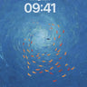 Vortex Oceanic Fish Background wallpaper for iPhone, iPad & Mac
