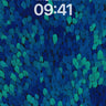 Midnight Petal Drift Wallpaper in Deep Indigo wallpaper for iPhone, iPad & Mac