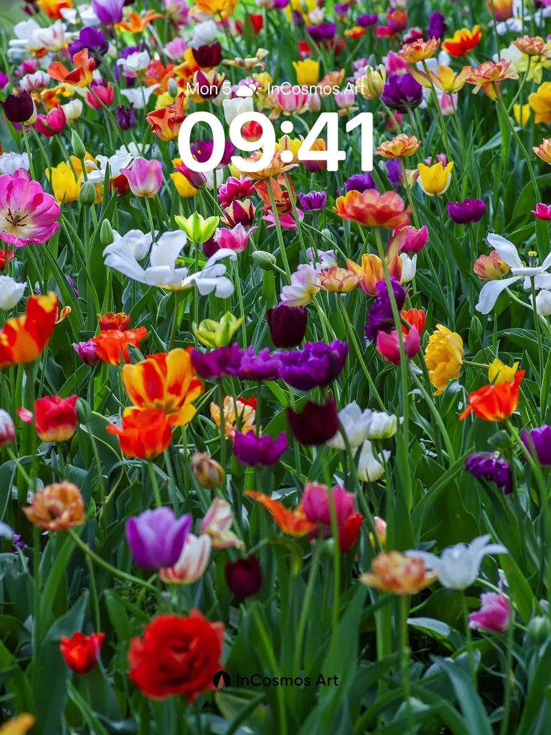 Chromatic Bloom Wallpaper with Living Light wallpaper for iPhone, iPad & Mac