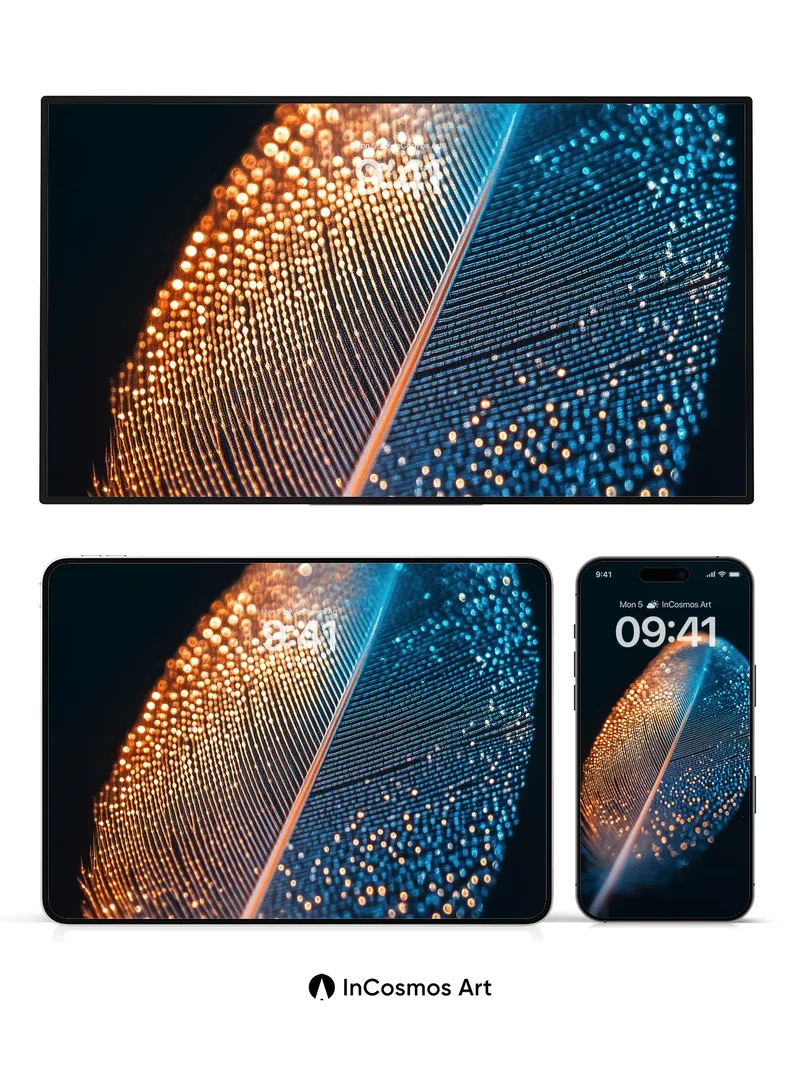 Luminous Feather Wallpaper with Celestial Glow