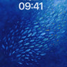 Deep Ocean School of Fish Wallpaper wallpaper for iPhone, iPad & Mac