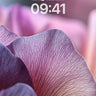 Velvet Petal Wallpaper with Whispering Veins wallpaper for iPhone, iPad & Mac